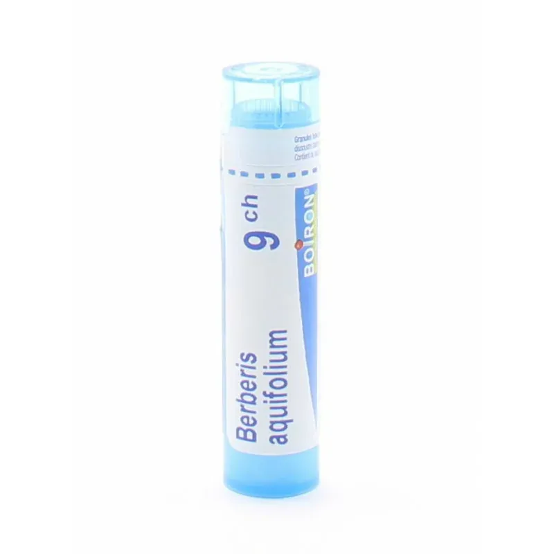 Boiron Berberis Aquifolium 9CH Tube Granules - Univers Pharmacie