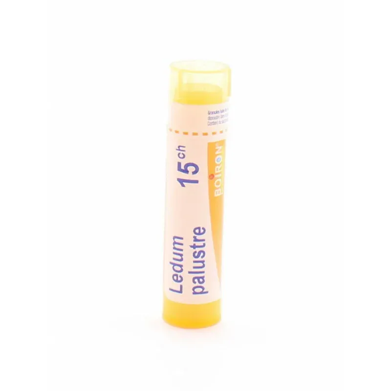 Boiron Ledum Palustre 15ch tube granules - Univers Pharmacie