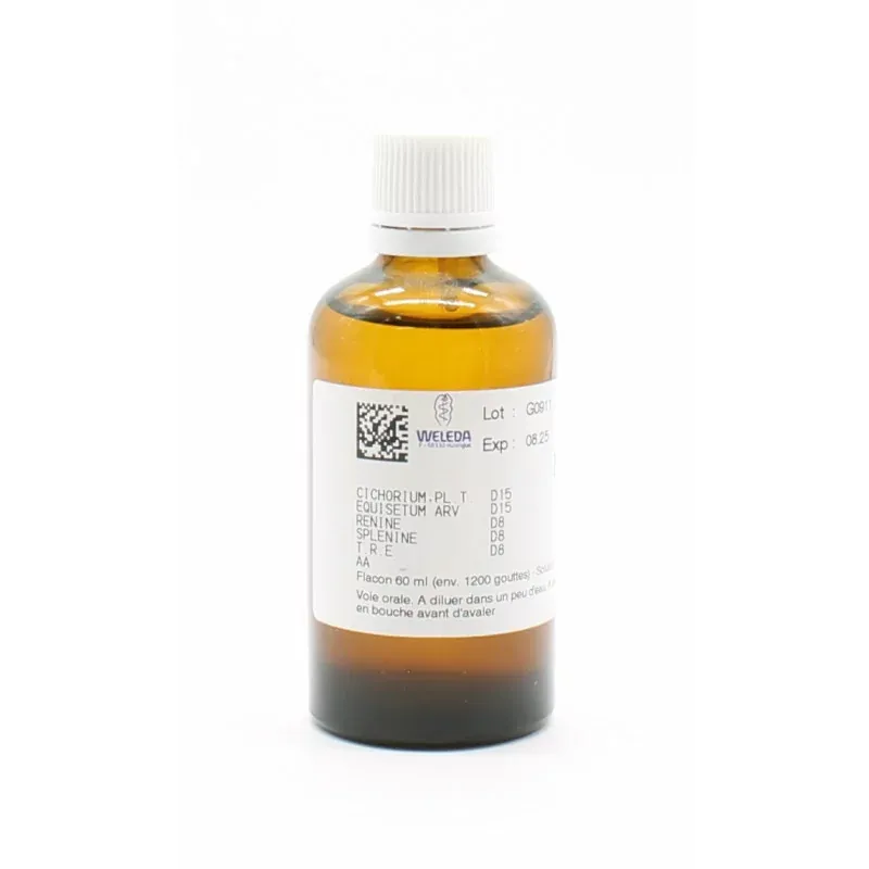 Weleda W680 Cichorium PL. T D15 Solution Buvable - Univers Pharmacie
