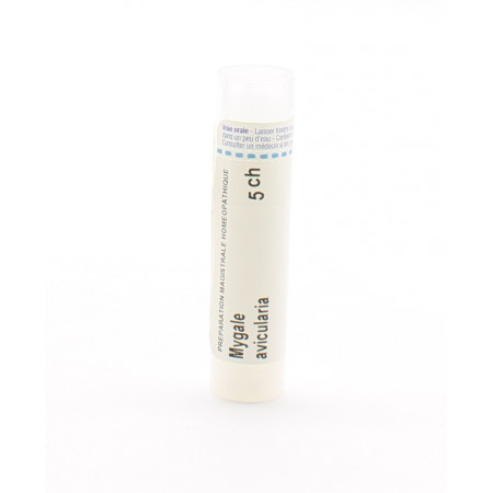 Boiron Mygale Avicularia 5ch tube granules - Univers Pharmacie