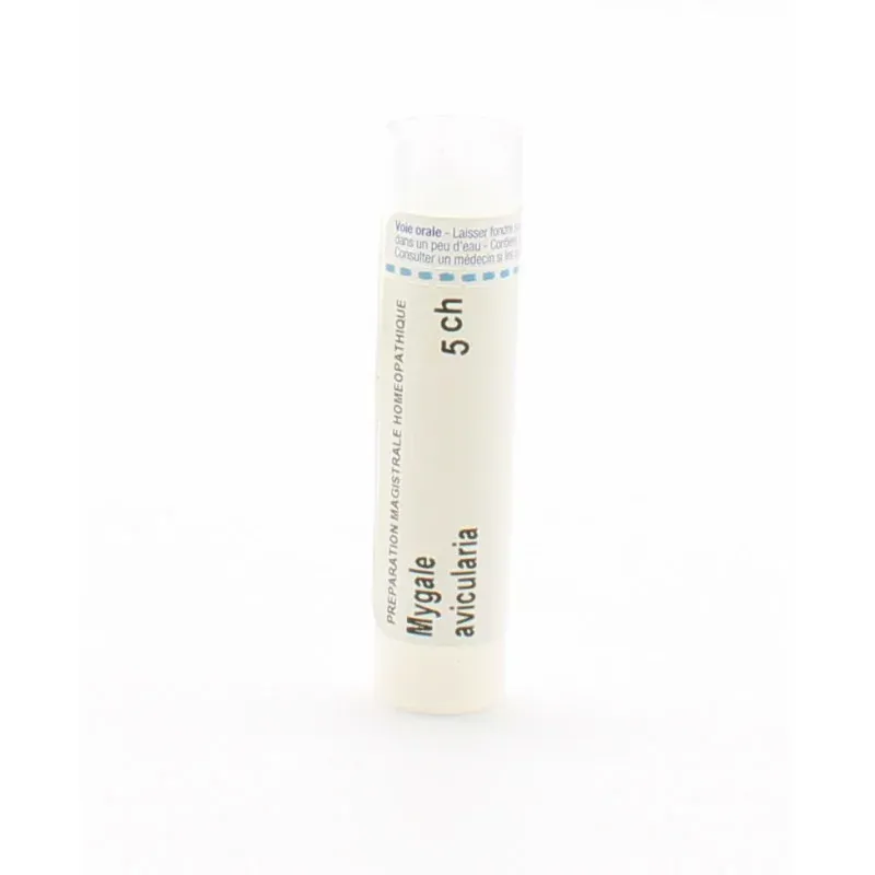 Boiron Mygale Avicularia 5ch tube granules - Univers Pharmacie