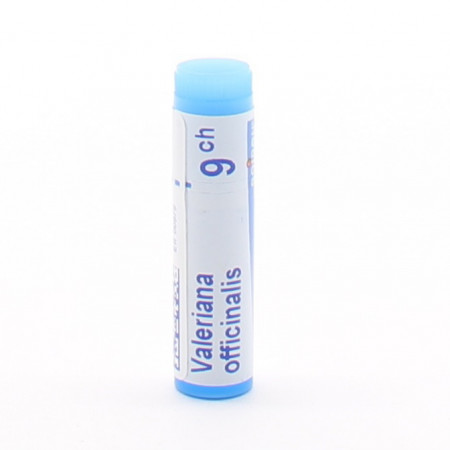 Boiron Valeriana Officinalis 9ch tube unidose - Univers Pharmacie