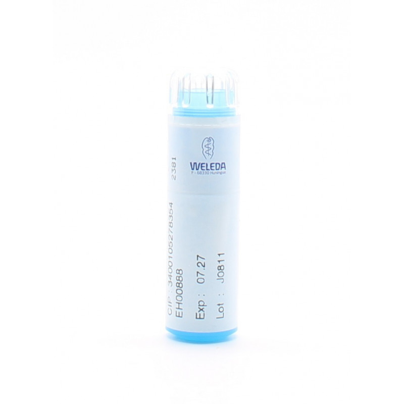 Weleda Nux Vomica D6 tube granules - Univers Pharmacie Weleda Nux Vomica D6 tube granules - Univers Pharmacie
