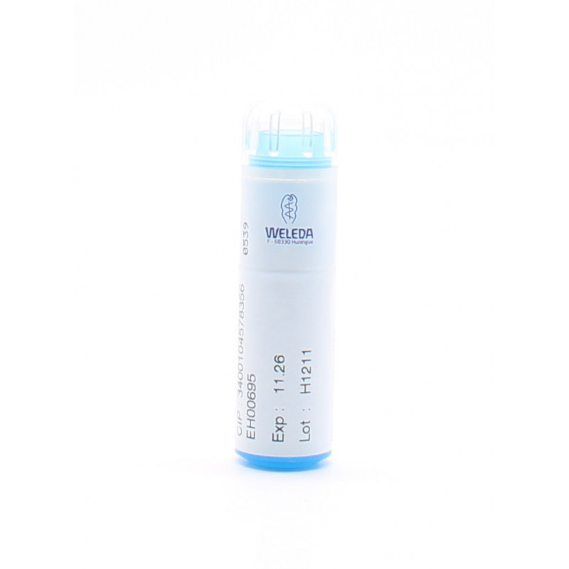 Weleda Magnesia Phosphorica D6 tube granules - Univers Pharmacie Weleda Magnesia Phosphorica D6 tube granules - Univers Pharmacie