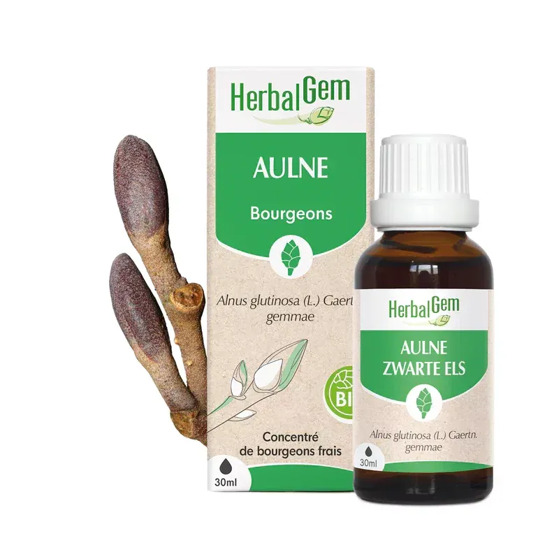 HerbalGem Aulne Bourgeons Bio 30ml - Univers Pharmacie