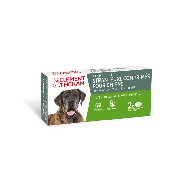 Clément Thékan Strantel XL Vermifuge pour Chiens 2 comprimés - Univers Pharmacie