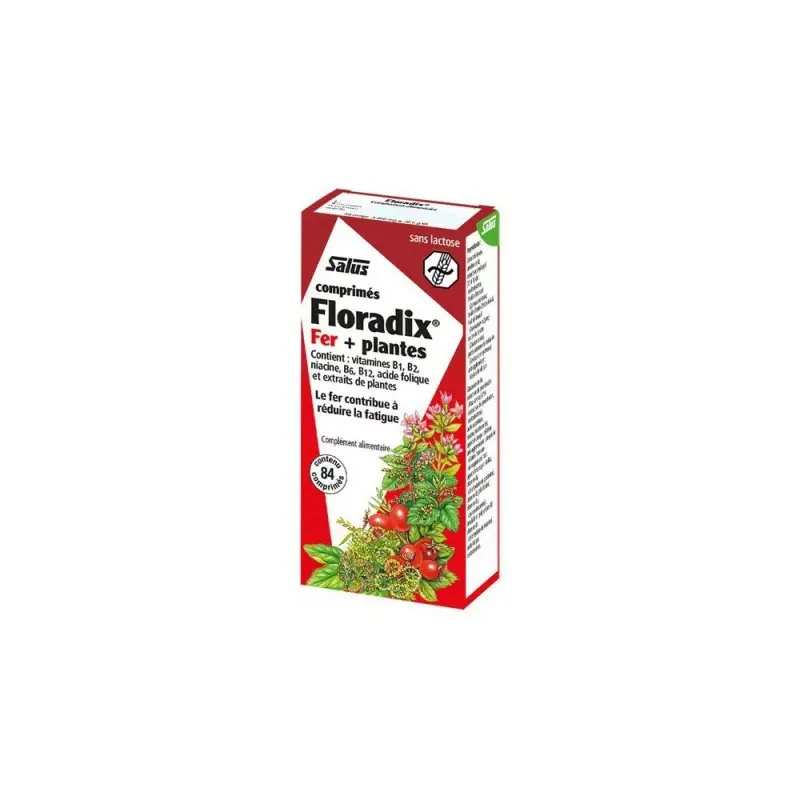 Floradix Fer + Plantes 84 comprimés - Univers Pharmacie Floradix Fer + Plantes 84 comprimés - Univers Pharmacie