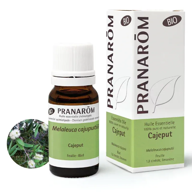 Pranarom Huile Essentielle Cajeput Bio 10ml - Univers Pharmacie