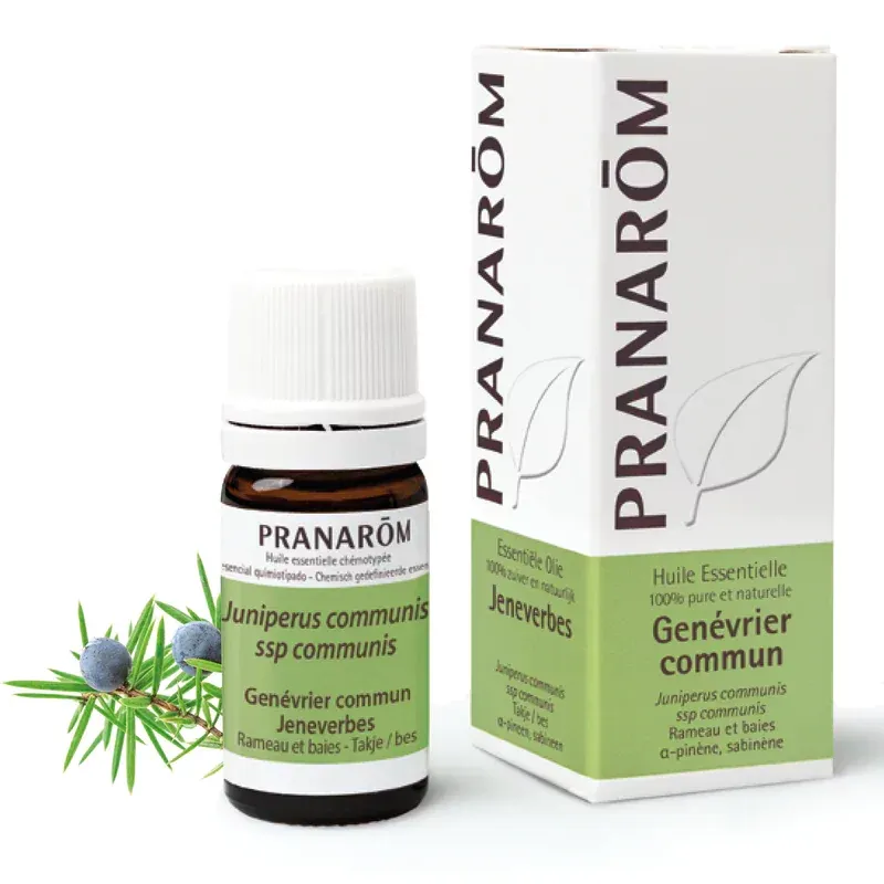Pranarom Huile Essentielle de Genévrier Commun 5ml - Univers Pharmacie