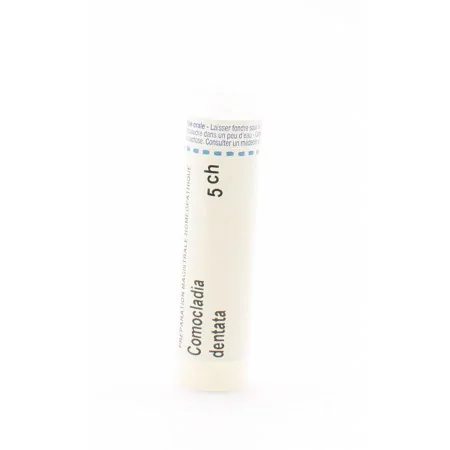 Boiron Comocladia Dentata 5CH tube granules - Univers Pharmacie