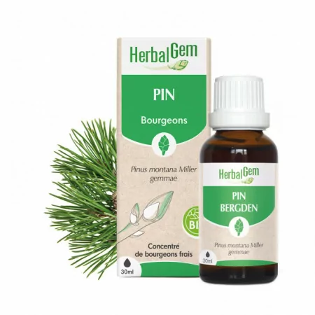 HerbalGem Bourgeons de Pin Bio 30ml - Univers Pharmacie