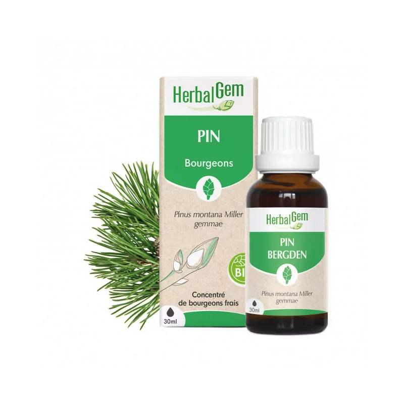 HerbalGem Bourgeons de Pin Bio 30ml - Univers Pharmacie