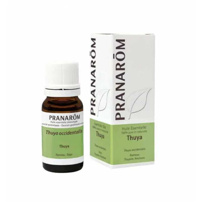 Pranarôm Huile Essentielle Thuya 10ml - Univers Pharmacie Pranarôm Huile Essentielle Thuya 10ml - Univers Pharmacie