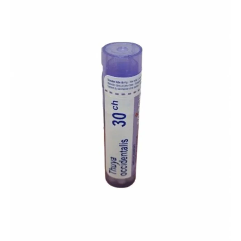 Boiron Thuya Occidentalis 30CH tube granules - Univers Pharmacie