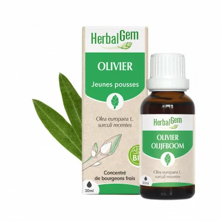 HerbalGem Olivier Jeunes Pousses Bio 30ml - Univers Pharmacie