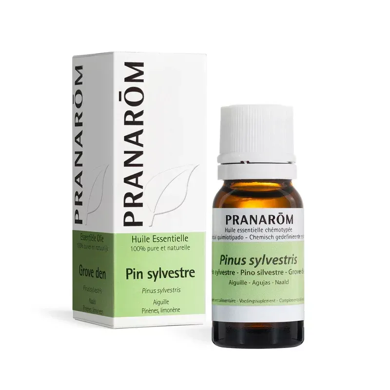 Pranarom Huile Essentielle Pin Sylvestre Bio 10ml - Univers Pharmacie