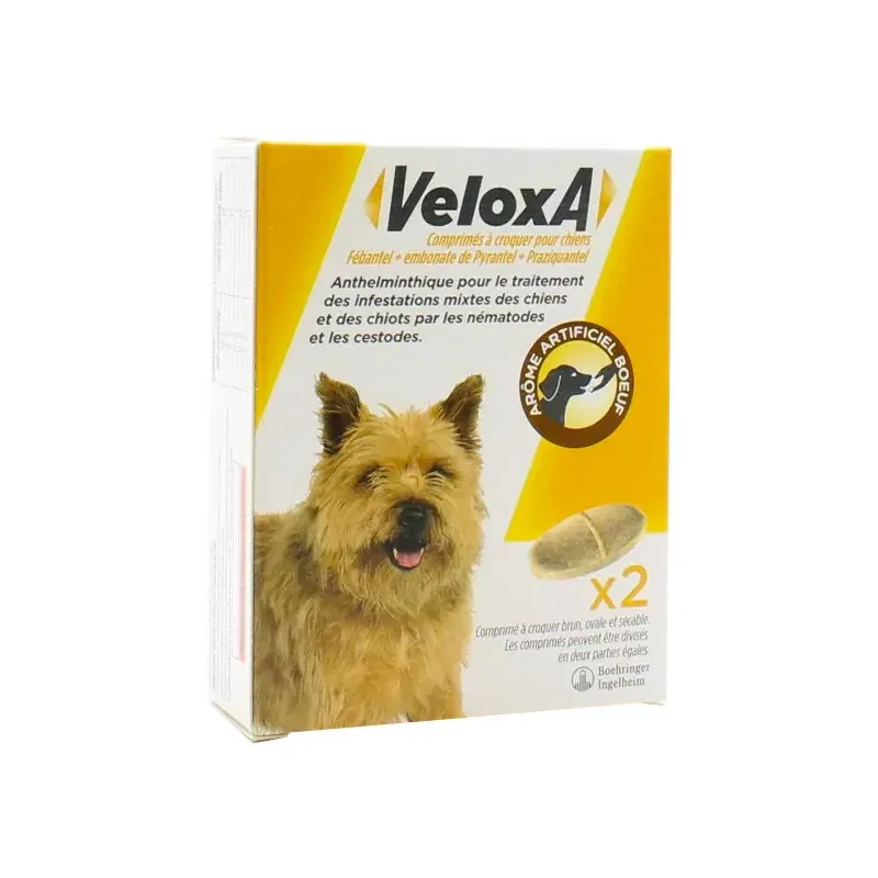 Veloxa Comprimés à Croquer pour Chiens X2 - Univers Pharmacie