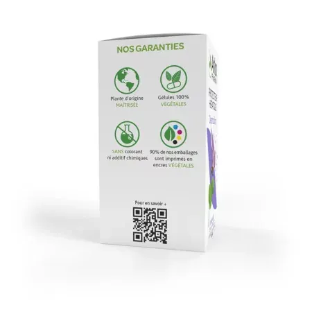 Arkopharma Arkogélules Desmodium 45 gélules - côté 2