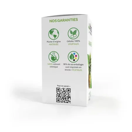 Arkopharma Arkogélules Ananas 45 gélules - côté 2