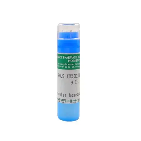 Rhus Toxicodendron 9ch tube granules - Univers Pharmacie