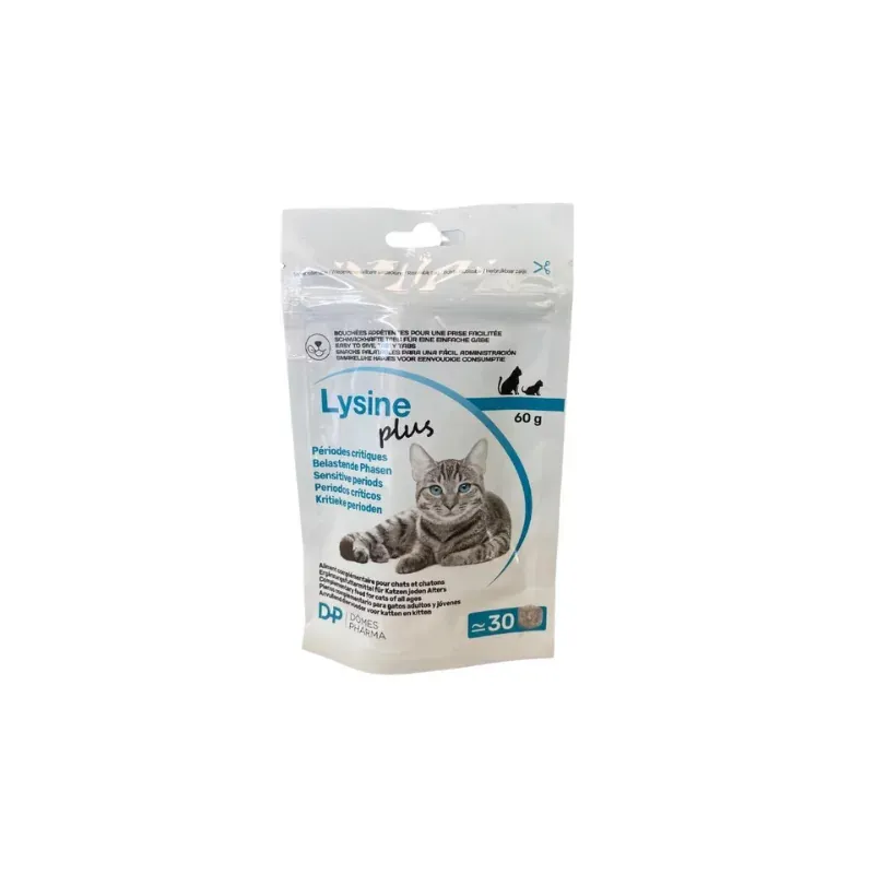 Lysine Plus Périodes Critiques 30 boulettes - Univers Pharmacie