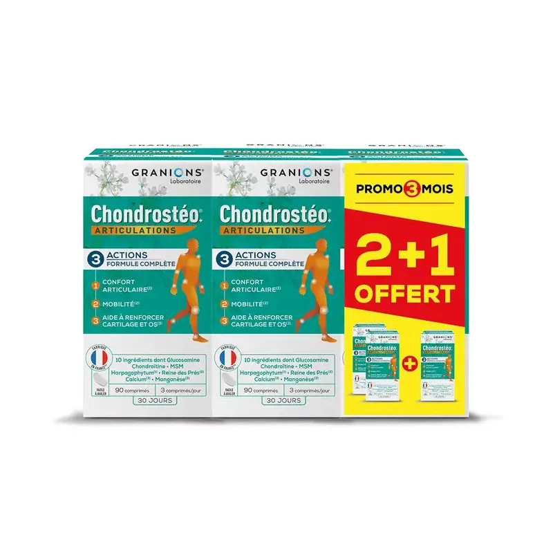 Granions Chondrostéo Douleurs Articulaires 3X90 comprimés - Univers Pharmacie Granions Chondrostéo Douleurs Articulaires 3X90 comprimés - Univers Pharmacie