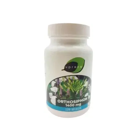 Uprana Orthosiphon 1400mg 120 gélules - Univers Pharmacie