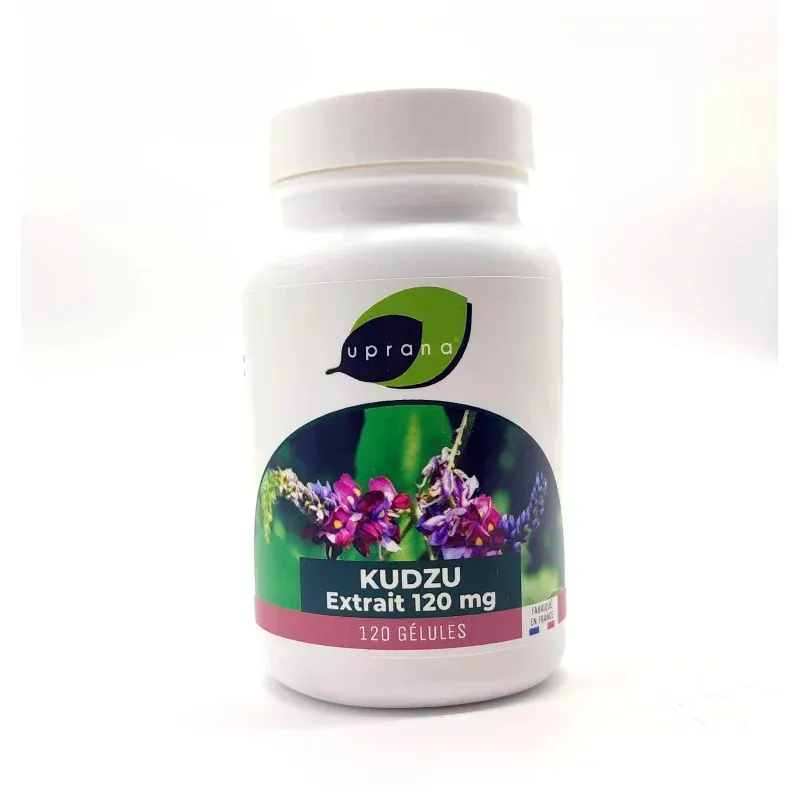 Uprana Kudzu Extrait 120mg 120 gélules - Univers Pharmacie Uprana Kudzu Extrait 120mg 120 gélules - Univers Pharmacie