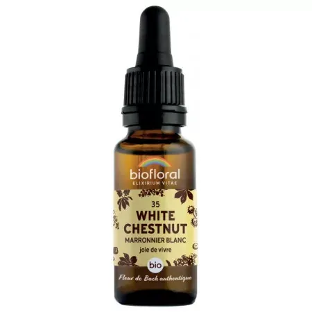 Biofloral N°35 White Chestnut Marronnier Blanc Bio Joie de Vivre 20ml - Univers Pharmacie