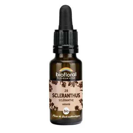 Biofloral N°28 Scléranthus Bio Volonté 20ml - Univers Pharmacie