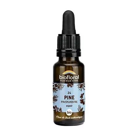 Biofloral N°24 Pine Bio Espoir 20ml - Univers Pharmacie