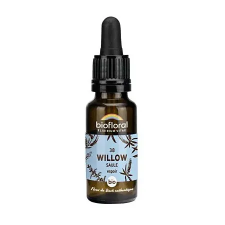 Biofloral N°38 Willow Bio Espoir 20ml - Univers Pharmacie