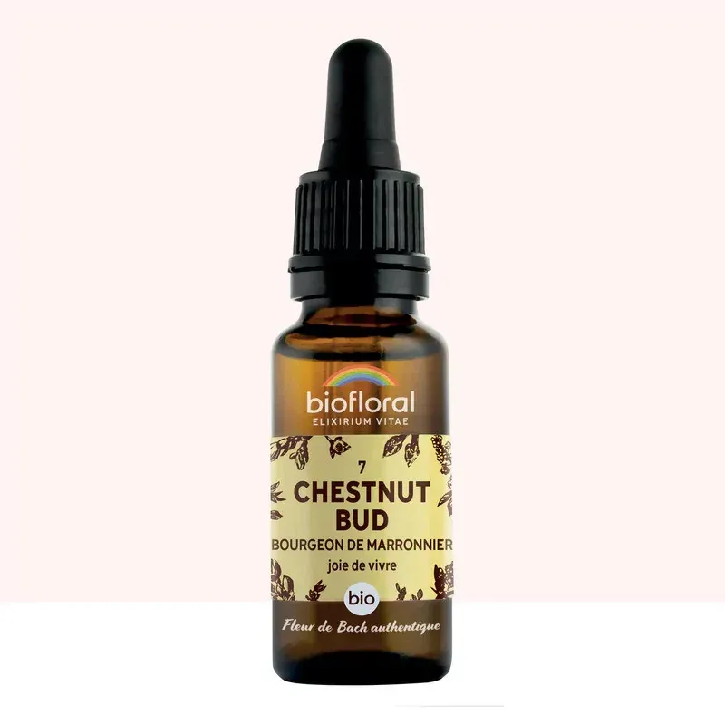 Biofloral N°35 White Chestnut Bio Joie de Vivre 20ml - Univers Pharmacie