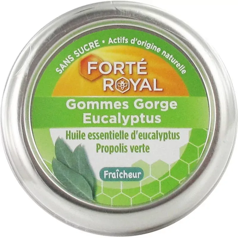 Forté Pharma Forté Royal Gommes Gorge Eucalyptus 45g - Univers Pharmacie