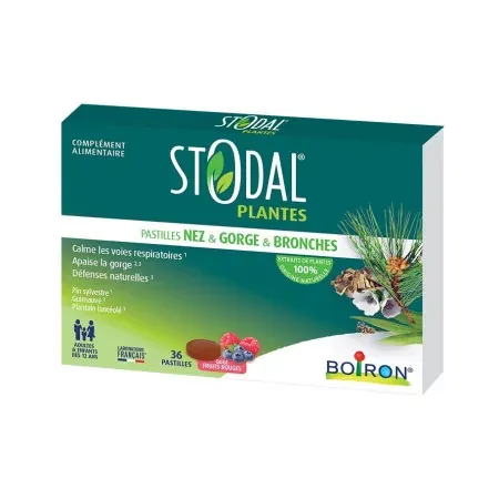 Boiron Stodal Plantes Pastilles Nez Gorge Bronches Fruits Rouges X36 - Univers Pharmacie