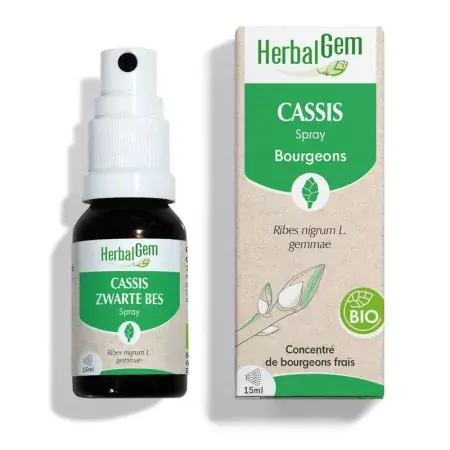 HerbalGem Bourgeons Cassis Bio Spray 15ml - Univers Pharmacie