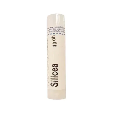 Boiron Silicea 10dh tube granules - Univers Pharmacie