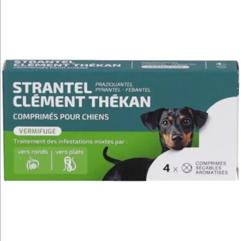 Clément Thékan Strantel Vermifuge pour Chiens 4 comprimés - Univers Pharmacie