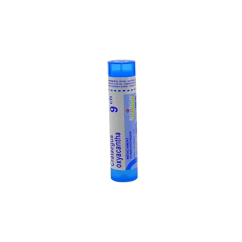 Boiron Crataegus Oxyacantha 9ch tube granules - Univers Pharmacie