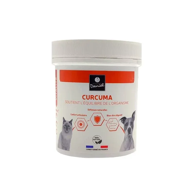 Les Recettes de Daniel Curcuma 100g - Univers Pharmacie