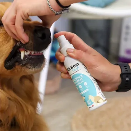 O'ptit Soin Fresh Dentifrice en Spray Chien Chat NAC 125ml - Exemple d'utilisation