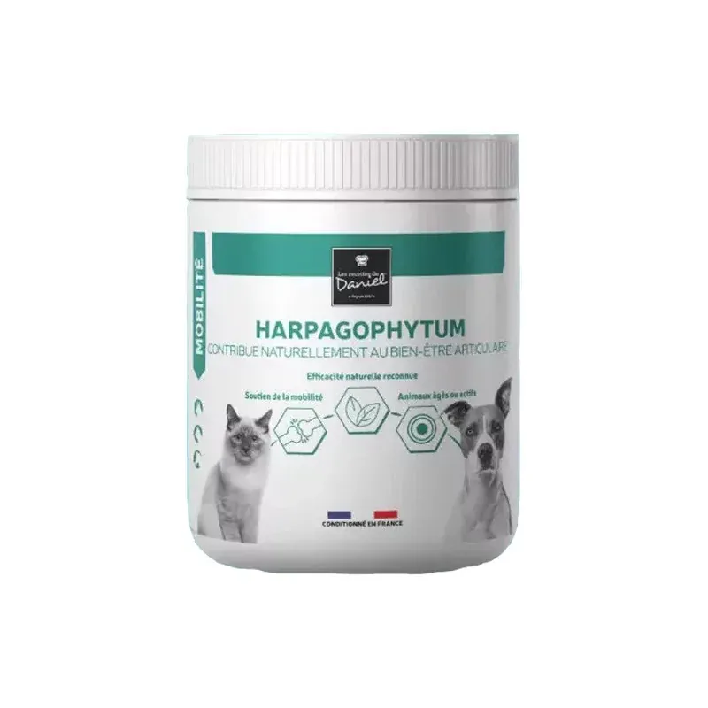 Les Recettes de Daniel Harpagophytum 110g - Univers Pharmacie