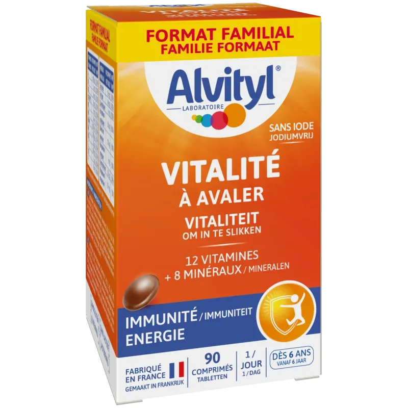 Alvityl Vitalité 12 Vitamines 8 Minéraux Goût Chocolat 90 comprimés