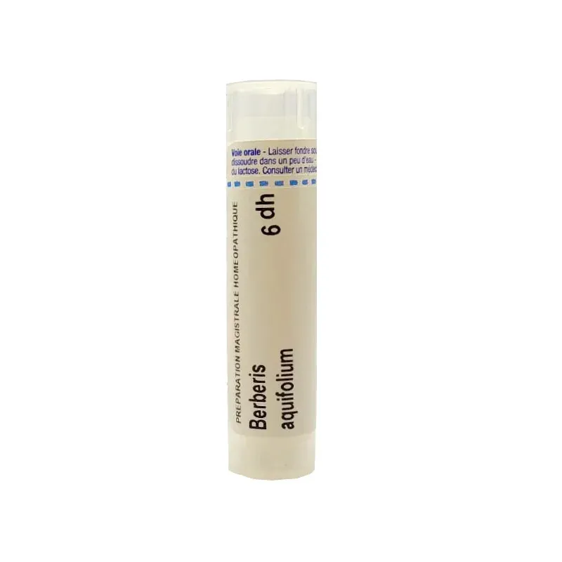 Boiron Berberis Aquifolium 6dh tube granules - Univers Pharmacie