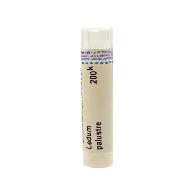 Boiron Ledum Palustre 200k tube granules - Univers