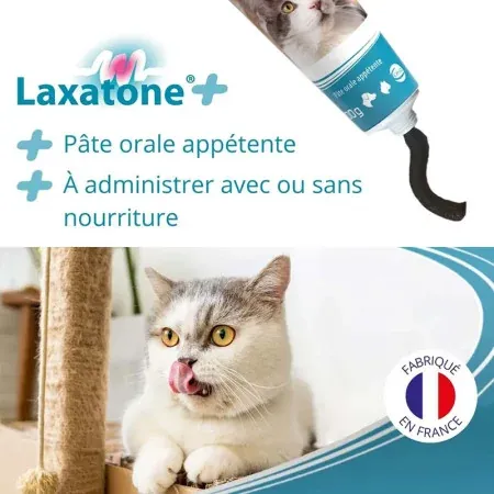 Laxatone+ Pâte Orale Appétente 100g - Facilité d'administration