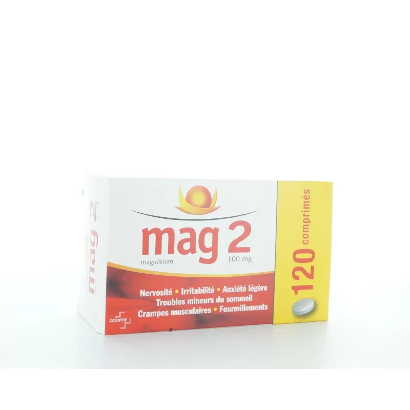 Mag 2 100 mg  120 comprimés