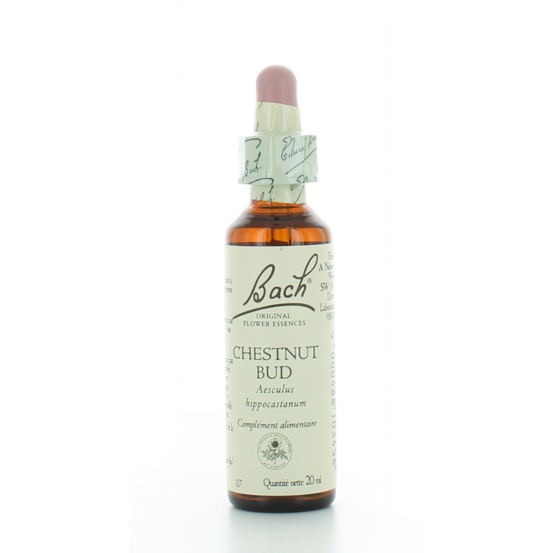 Fleur de Bach Chestnut Bud 20ml Fleur de Bach Chestnut Bud 20ml