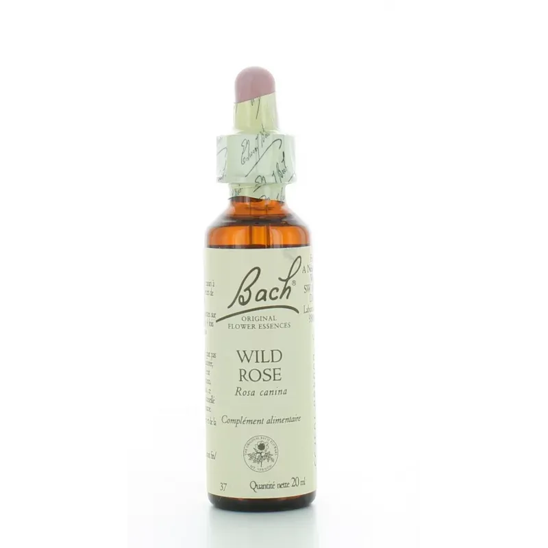 Fleur de Bach Wild Rose 20ml Fleur de Bach Wild Rose 20ml