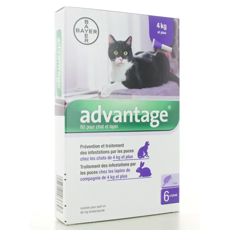 Advantage 80 Chat et Lapin 6 pipettes